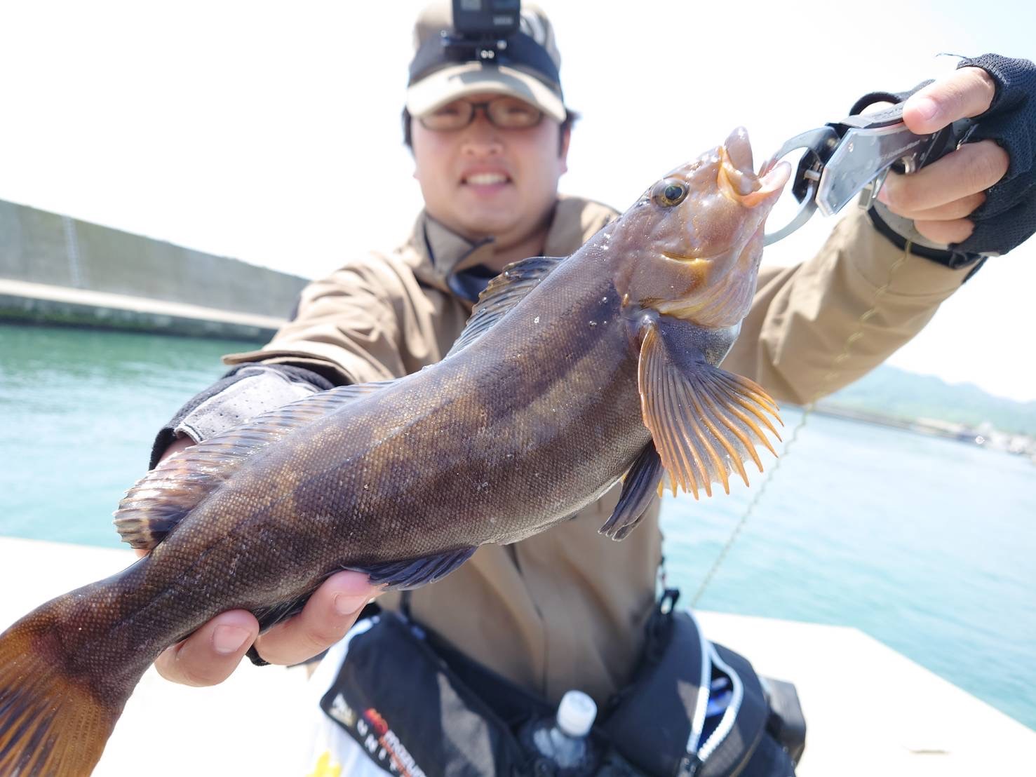 噴火湾ロックフィッシュ カレイ釣行 Azem アゼム 北海道札幌市発寒のショッピングモール 釣り アウトドア ペット イタリアン