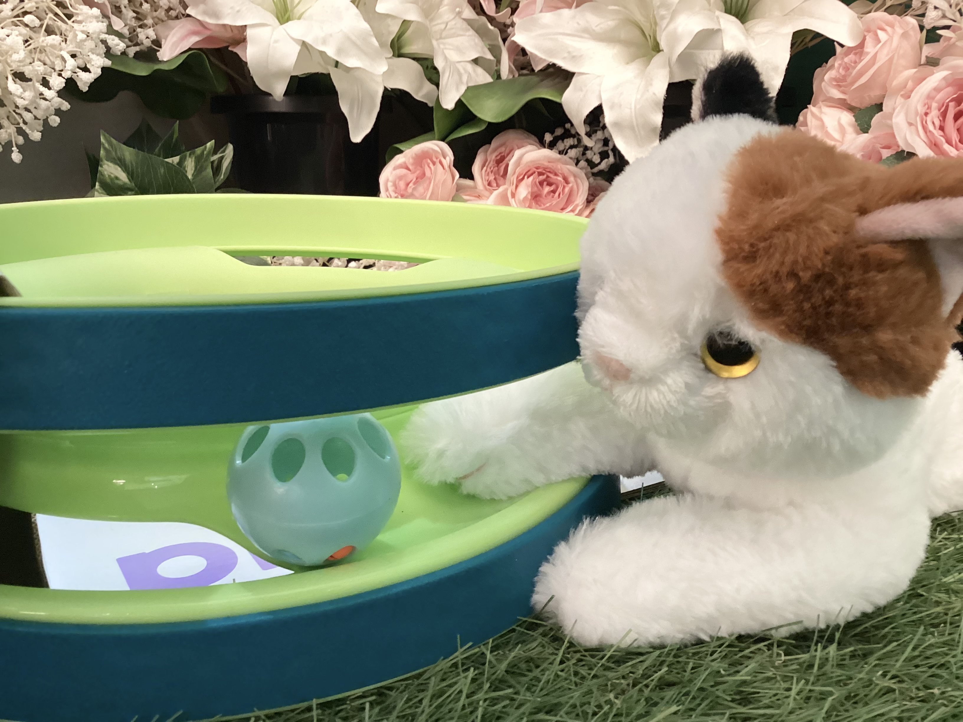 ねこちゃんのおもちゃ｜AZem アゼム｜北海道札幌市発寒の