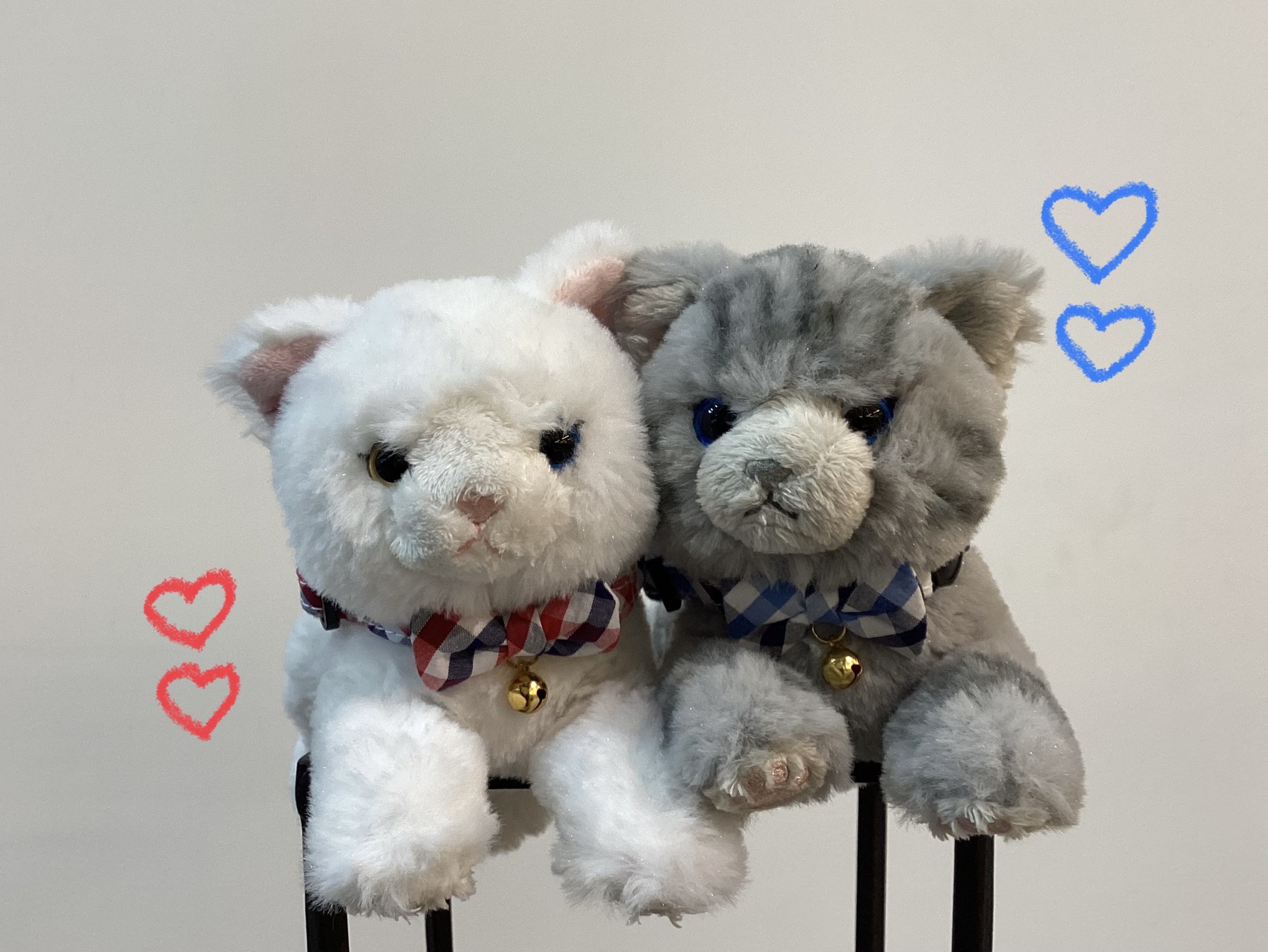 猫ちゃん用の首輪とハーネス｜AZem アゼム｜北海道札幌市発寒の