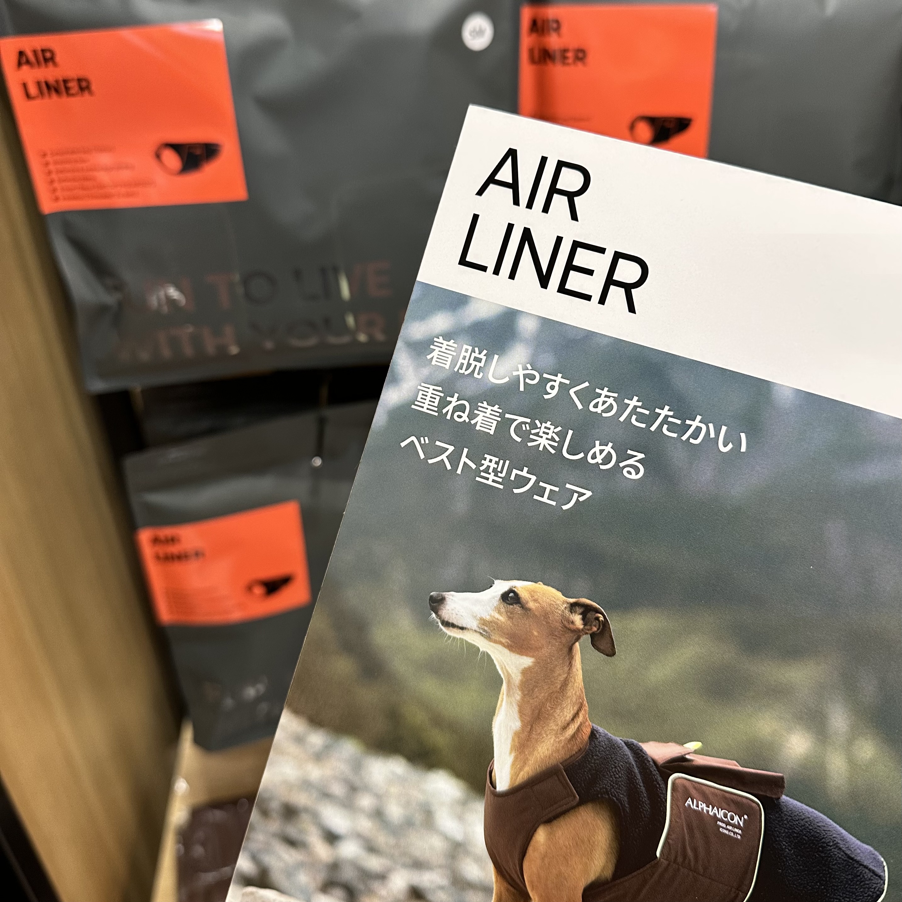 アルファ コイン 札幌 (99) 사진