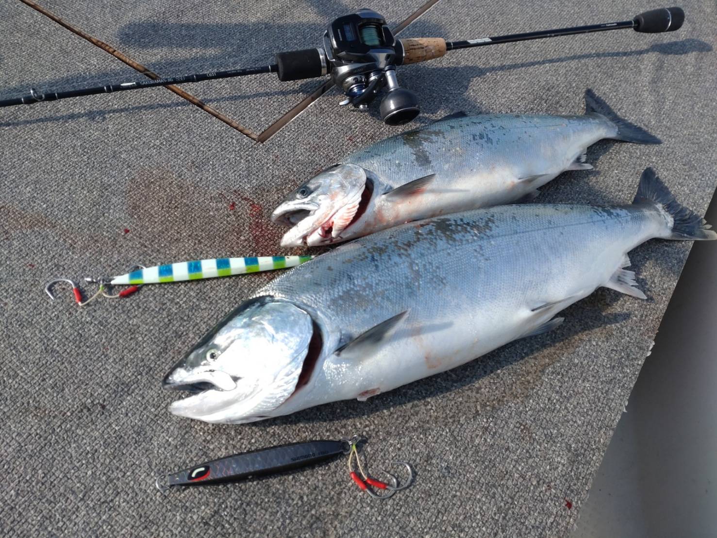 バス釣りオジサン Bass Fishing] Attacking the Gosan River with new lures