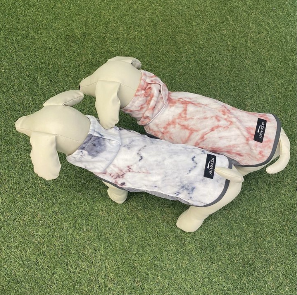 アルファアイコン❣️｜AZem アゼム｜北海道札幌市発寒のショッピングモール（釣り・アウトドア・ペット・イタリアン）