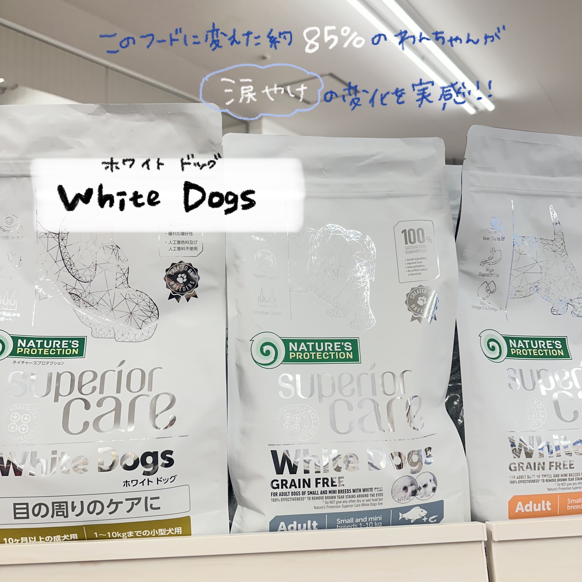 新入荷〉涙やけ改善に！ホワイトドッグ｜AZem アゼム｜北海道札幌市