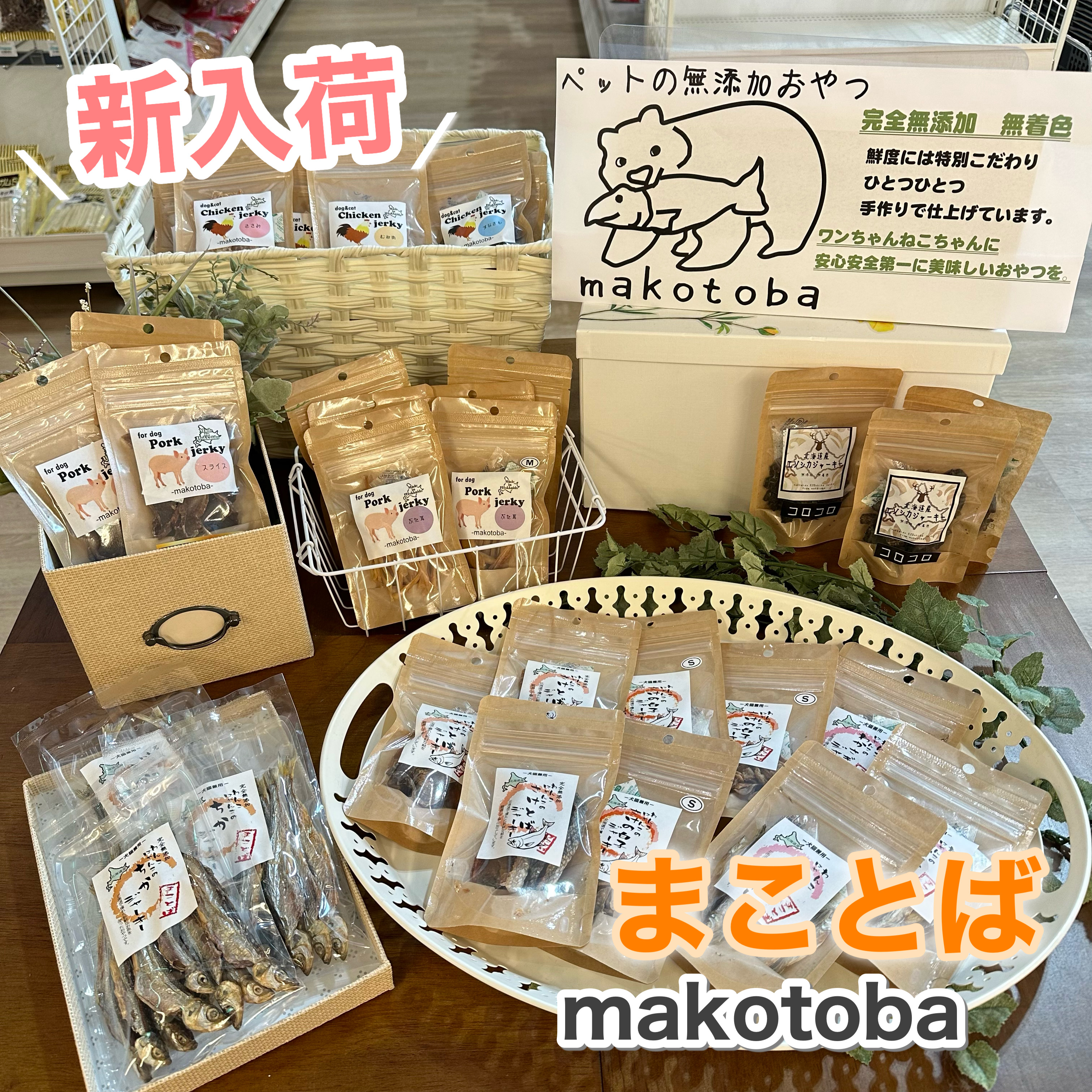 新入荷〉まことば（犬猫おやつ）☀️｜AZem アゼム｜北海道札幌市発寒