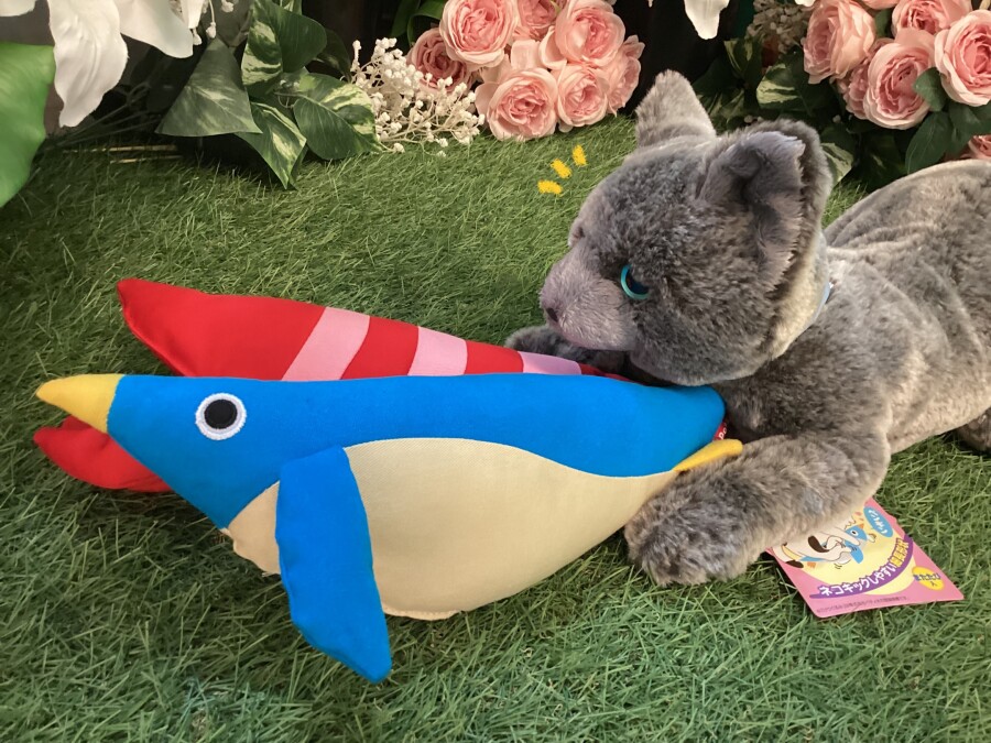 ねこちゃんのおもちゃ｜AZem アゼム｜北海道札幌市発寒のショッピング