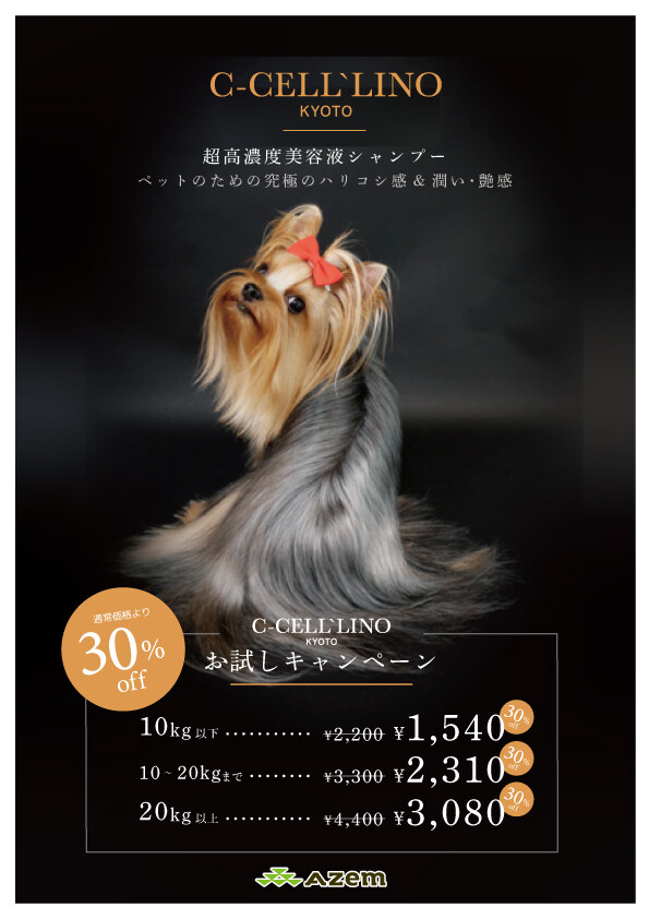 5月トリミングイベントのお知らせ｜AZem アゼム｜北海道札幌市発寒の