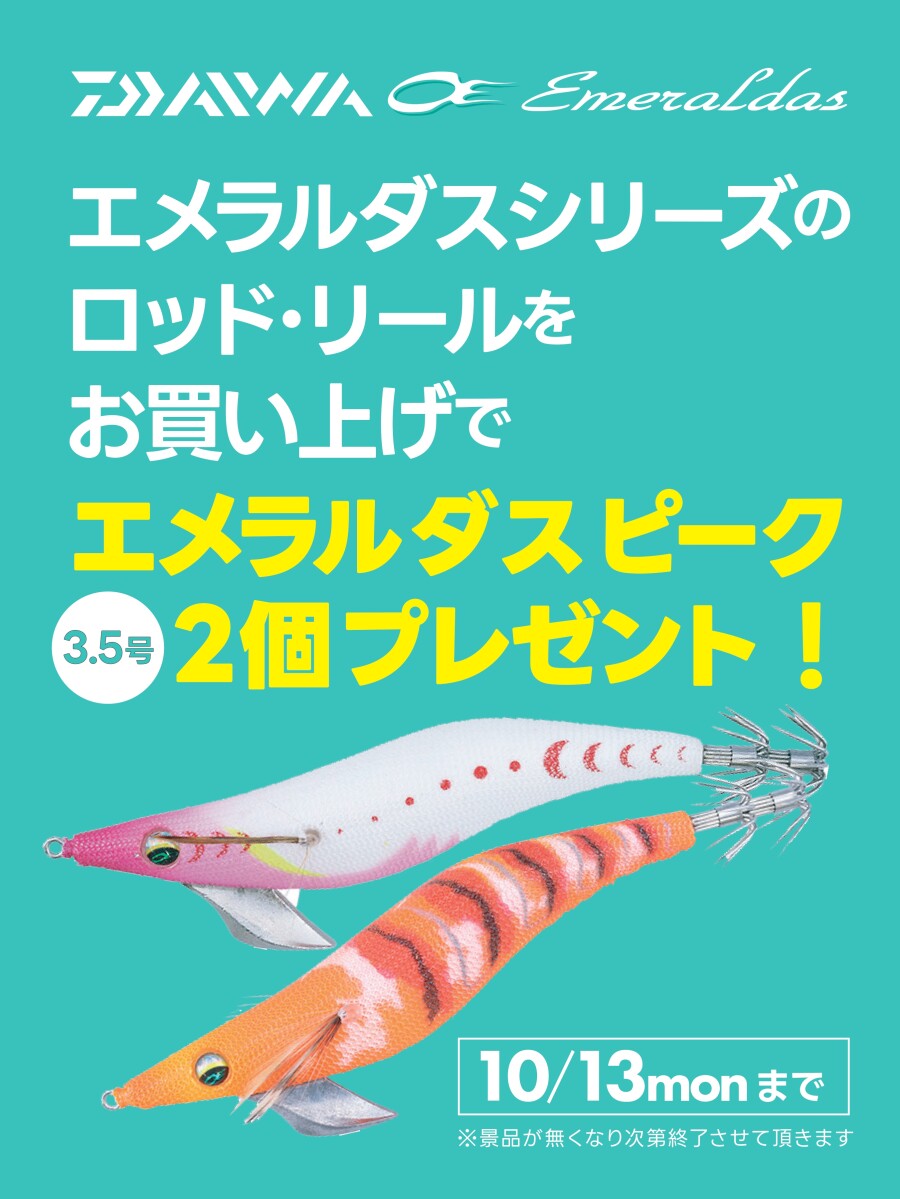 2025年のアオリイカ用エギの新製品がたくさん入荷しました